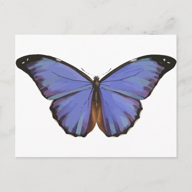 Carte Postale Papillon bleu (Devant)