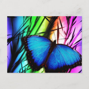 Carte Postale Papillon bleu arc-en-ciel