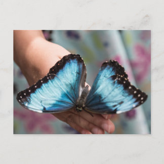 Carte Postale Papillon bleu Morpho