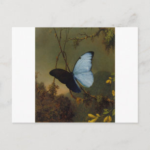 Carte Postale Papillon bleu Morpho 1865 Printemps Personnaliser
