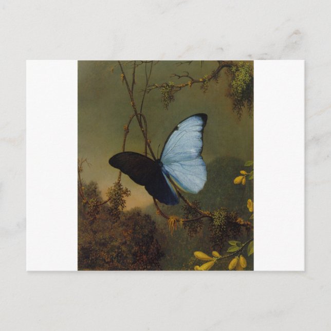 Carte Postale Papillon bleu Morpho 1865 Printemps Personnaliser  (Devant)