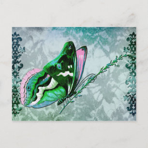 Carte Postale PAPILLON COLORÉ en BLEU TURQUOISE, VERT et ROSE