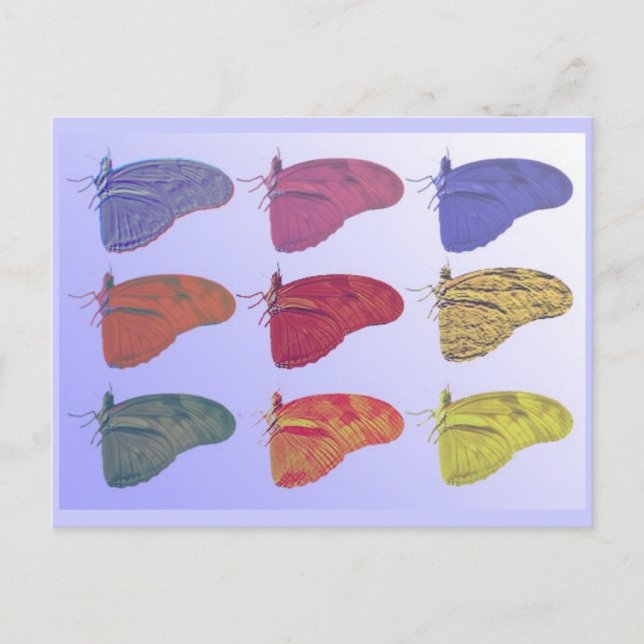 Carte postale papillon d'Amazonie (Devant)