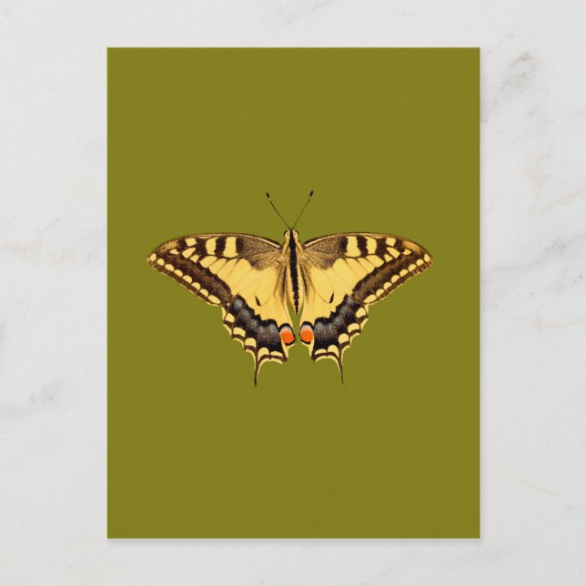 Carte Postale Papillon dansant (Devant)