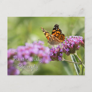 Carte Postale Papillon de la Dame peinte