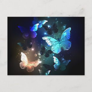 Carte Postale Papillon de nuit voltigeant