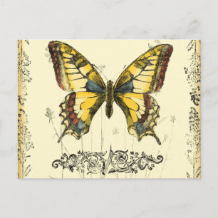 Carte Postale Papillon décoratif avec Fleur sauvage