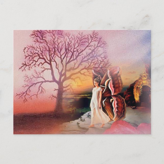 Carte postale Papillon Dreams (Devant)