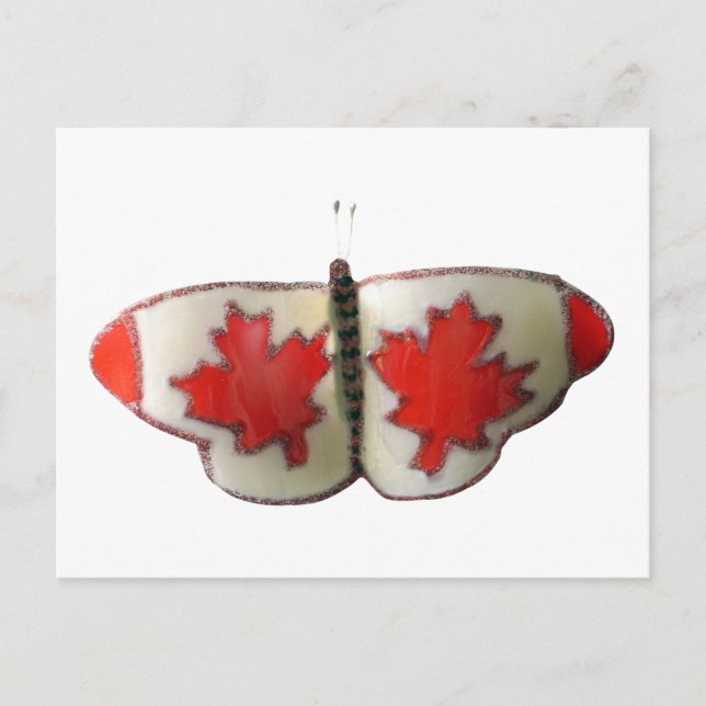 Carte Postale Papillon du Canada (Devant)