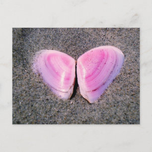 Carte Postale Papillon en coquillages