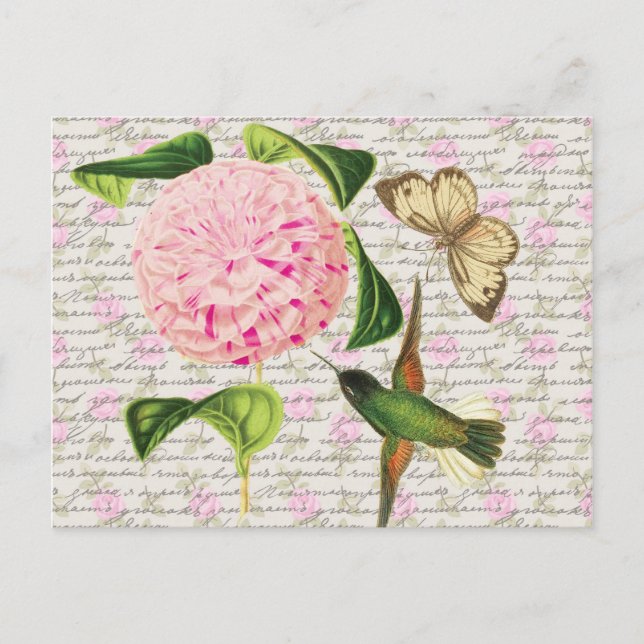 Carte Postale Papillon et caryophylle vintages (Devant)