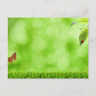 Carte Postale Papillon et coccinelle sur l'herbe