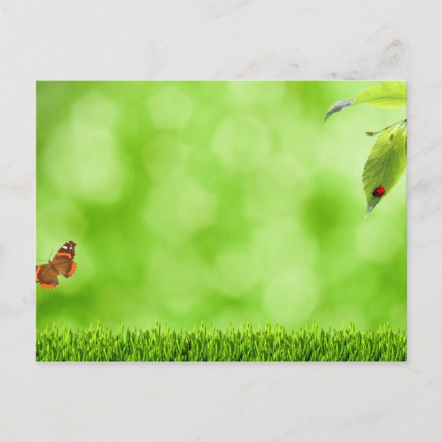 Carte Postale Papillon et coccinelle sur l'herbe (Devant)