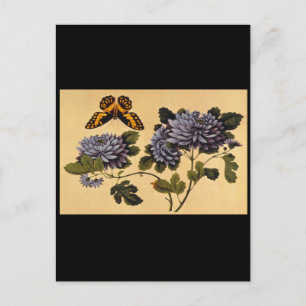 Carte Postale Papillon et Dahlias', artiste inconnu_L'Orient