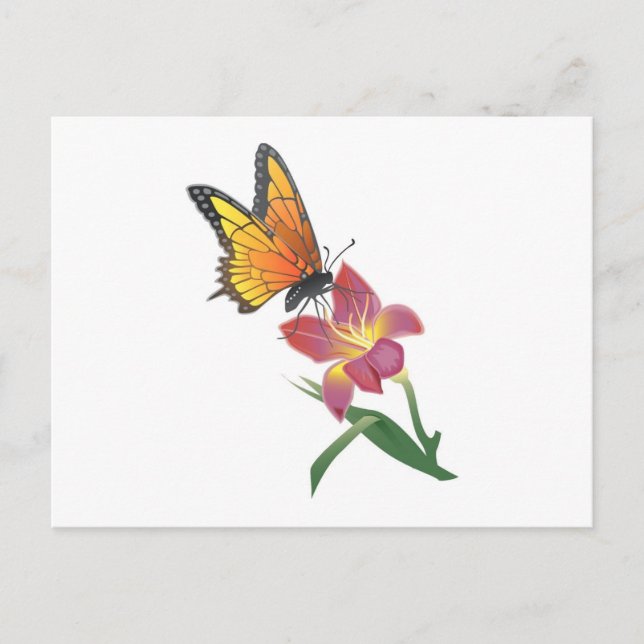 Carte Postale Papillon et Fleur (Devant)