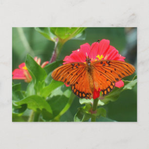 Carte Postale Papillon et Fleur rose