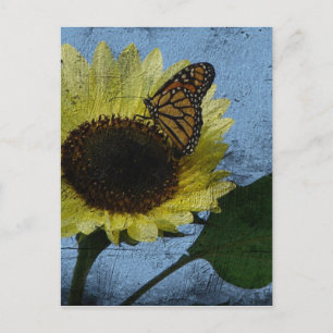 Carte Postale Papillon et tournesol