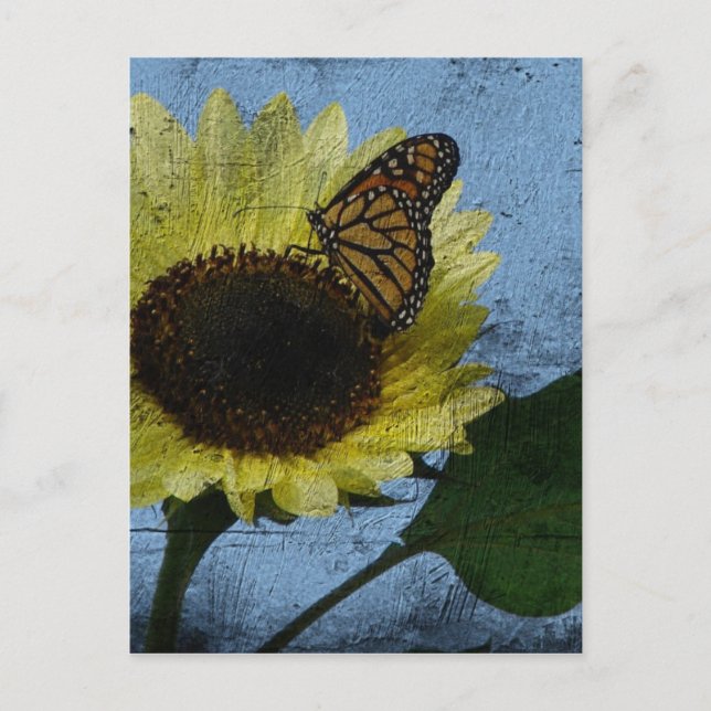Carte Postale Papillon et tournesol (Devant)