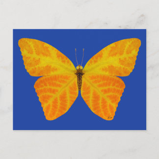 Carte Postale Papillon feuille Aspen 3