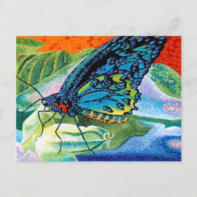 Carte Postale Papillon II (Devant)