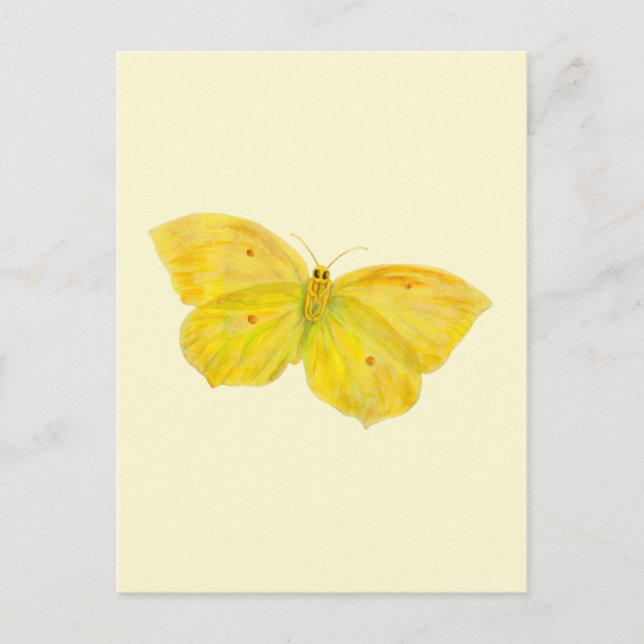 Carte Postale Papillon jaune Volant de pierre de taille commune (Devant)