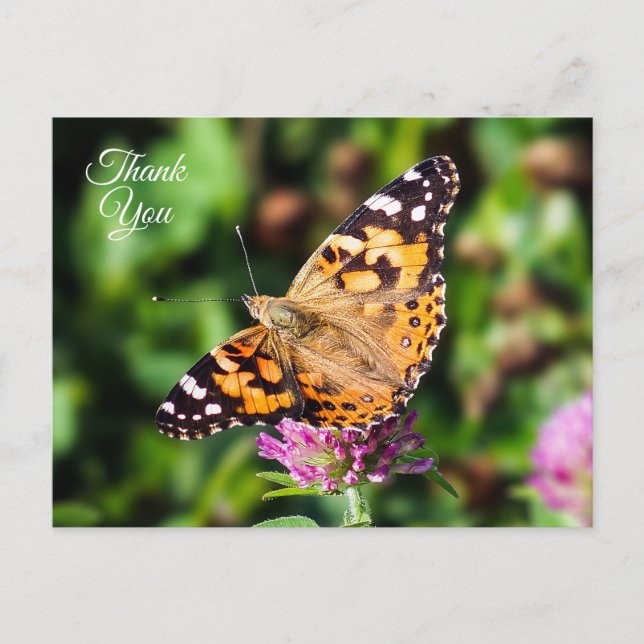 Carte postale Papillon Merci peint (Devant)