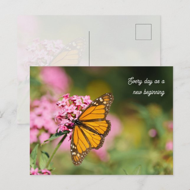 Carte Postale Papillon monarch uplifting et inspirant (Devant / Derrière)
