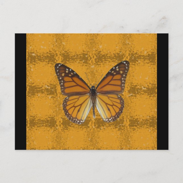 Carte Postale Papillon monarque (Devant)