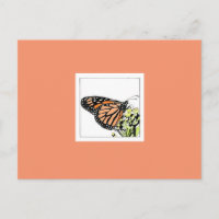Papillon monarque (colorisé)