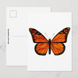 Carte Postale Papillon monarque Petit