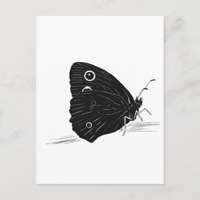 Carte Postale Papillon monochrome  (Devant)