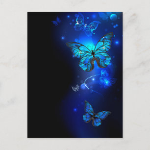 Carte Postale Papillon Morpho sur fond sombre