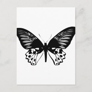 Carte Postale Papillon noir
