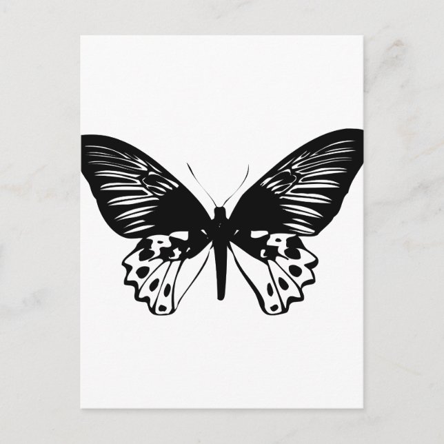 Carte Postale Papillon noir (Devant)