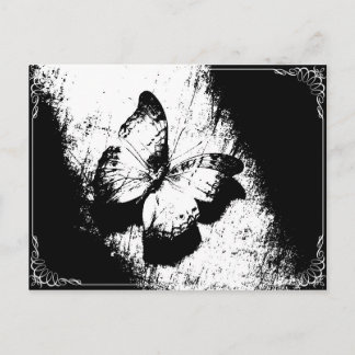 Carte Postale Papillon noir et blanc