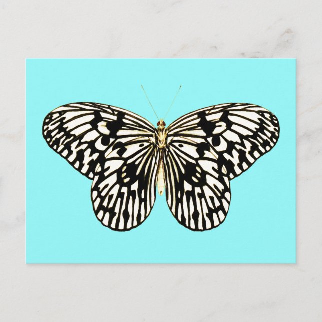 Carte Postale Papillon noir et blanc, arrière - plan turquoise (Devant)