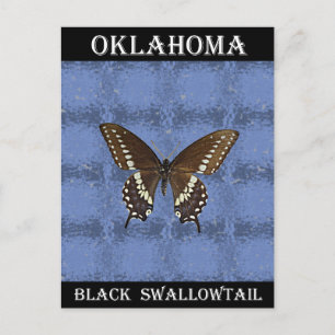 Carte Postale Papillon noir Swallowtail Oklahoma