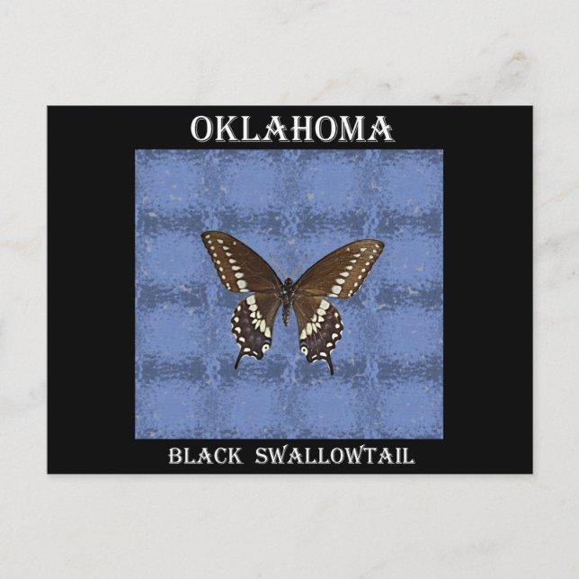Carte Postale Papillon noir Swallowtail Oklahoma (Devant)