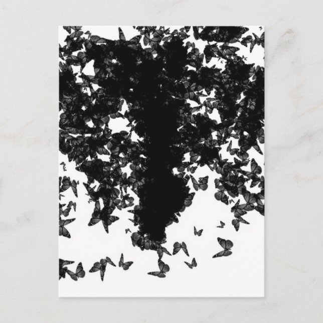 Carte Postale papillon noir yaie swallowtail (Devant)