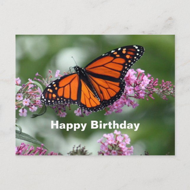 Carte Postale Papillon orange monarch floral photo d'anniversair (Devant)