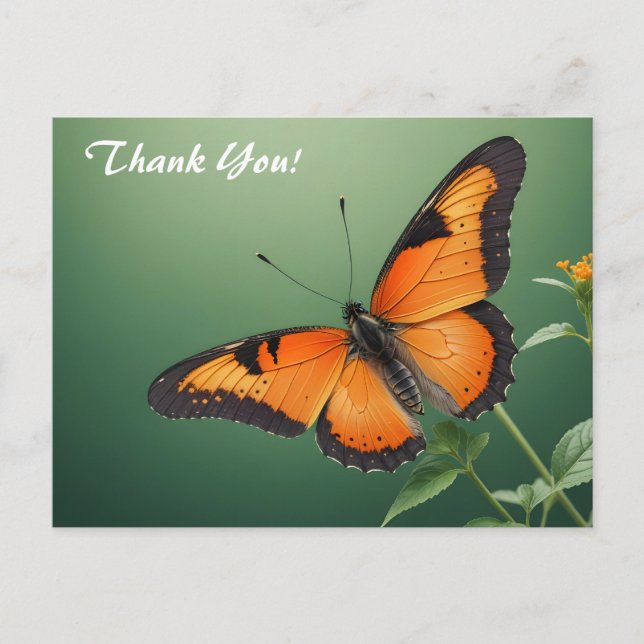 Carte Postale Papillon orange sur vert (Devant)