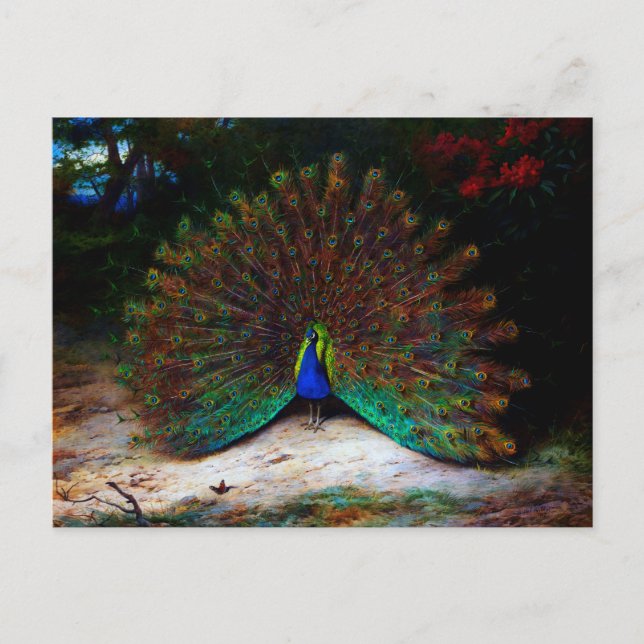 Carte Postale Papillon Peacock et Peacock (Devant)