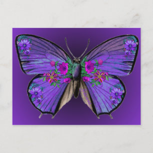 Carte postale Papillon Persephone