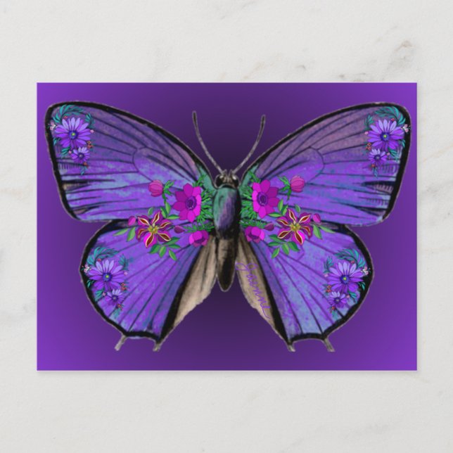 Carte postale Papillon Persephone (Devant)
