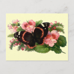 Carte Postale Papillon & Pois doux Floral Jardin Cadeaux Design