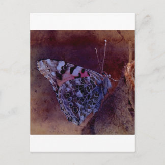 Carte Postale Papillon pourpre