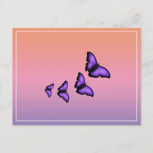 Carte Postale Papillon pourpre