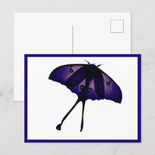 Carte Postale Papillon pourpre dans le jardin de printemps Natur