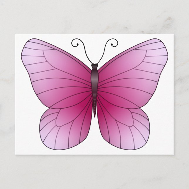 Carte postale Papillon rose (Devant)