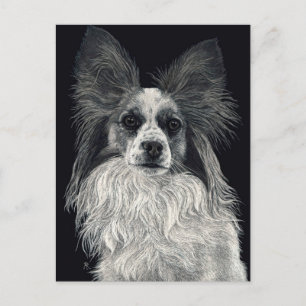 Carte postale Papillon - "Sparkles"